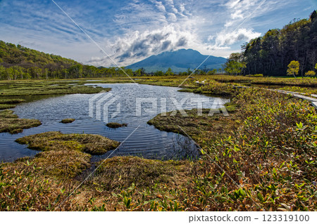 初夏的尾瀨原池塘和笠岳的景色 初夏的尾瀨原池塘和笠岳的景色 123319100