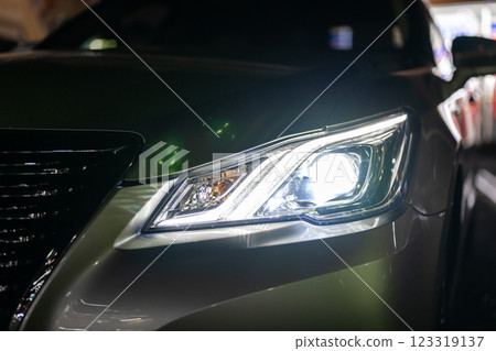 Car headlight 123319137