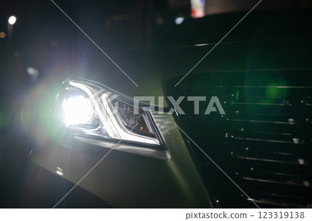 Car headlight 123319138