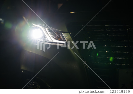 Car headlight 123319139