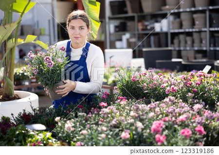 Young female seller holding garden carnation in pot Young female seller holding garden carnation in pot 123319186