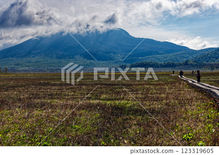 初夏時節，健行者穿過尾瀨之原，欣賞樋岳的美景 123319605
