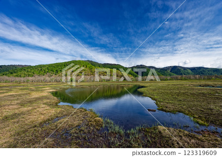 Fresh green mountain ranges seen from Ozegahara in early summer 123319609