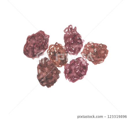 Watercolor painted jujube 123319896