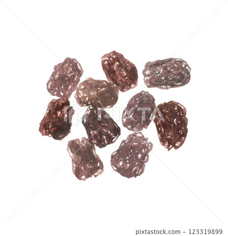 Watercolor painted jujube 123319899