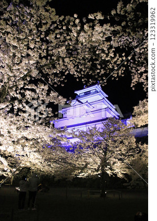 夜櫻與敦賀城（福島縣會津若松市） 123319962