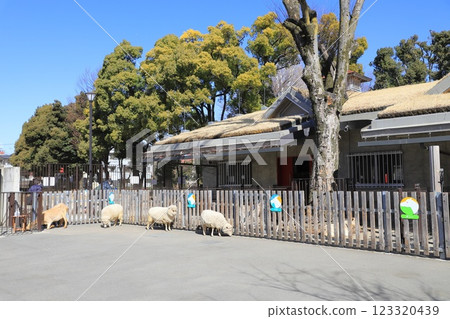 板橋區兒童動物園（東板橋公園內） - 草頂建築 123320439