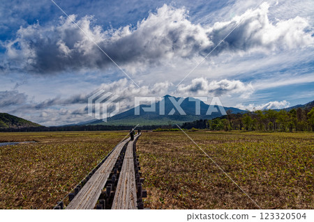 Mt. Hiuchigatake seen from Ozegahara in early summer Mt. Hiuchigatake seen from Ozegahara in early summer 123320504