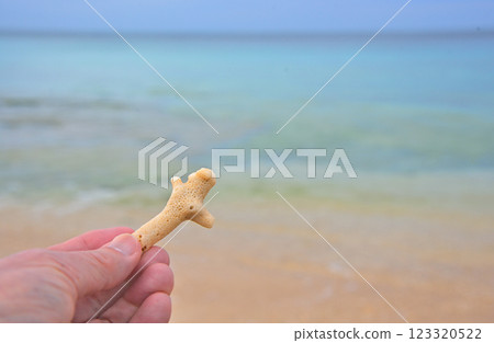 <沖繩縣>在沖繩海灘發現的珊瑚碎片 <沖繩縣>在沖繩海灘發現的珊瑚碎片 123320522