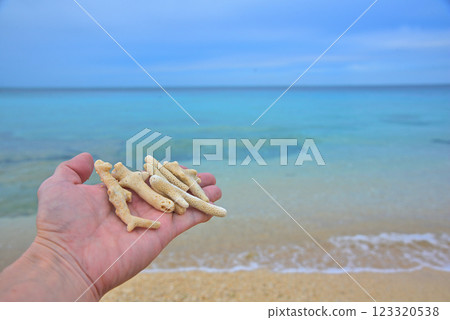 <沖繩縣>在沖繩海灘發現的珊瑚碎片 123320538