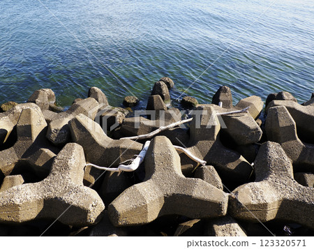 Wave block 123320571