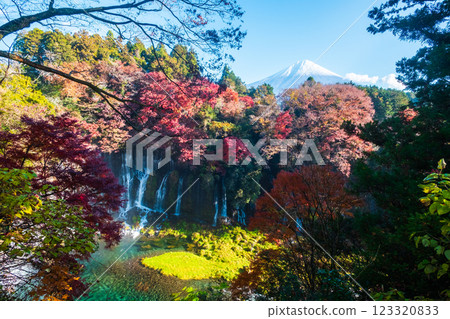 Shiraito Falls and Mt. Fuji (Autumn) 123320833