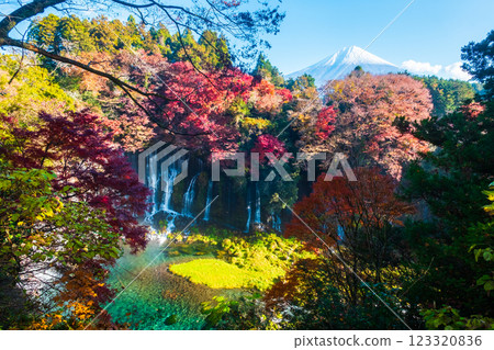 Shiraito Falls and Mt. Fuji (Autumn) 123320836