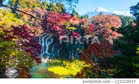 Shiraito Falls and Mt. Fuji (Autumn) Shiraito Falls and Mt. Fuji (Autumn) 123320837