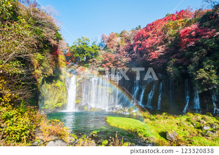 Shiraito Falls (Autumn) [Fujinomiya City] 123320838