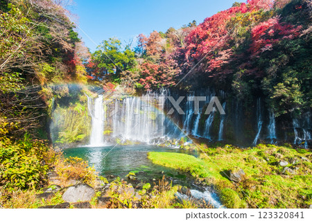 Shiraito Falls (Autumn) [Fujinomiya City] 123320841