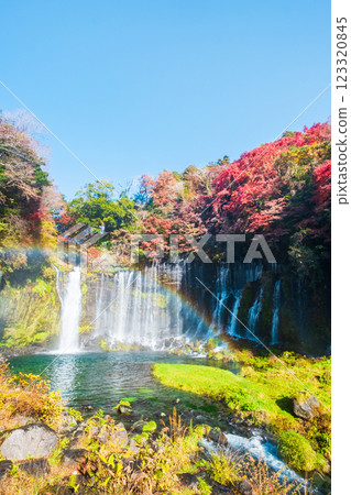 Shiraito Falls (Autumn) [Fujinomiya City] 123320845