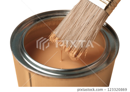 PNG, Paint, can of brown paint with a brush, isolated on a white background PNG, Paint, can of brown paint with a brush, isolated on a white background 123320869
