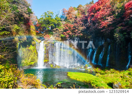 白絲瀑布（秋季）[富士宮市] 123320914