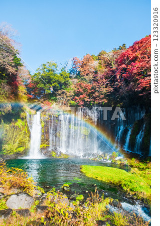 白絲瀑布（秋季）[富士宮市] 123320916