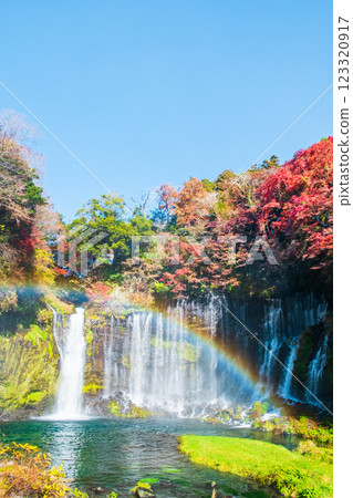 Shiraito Falls (Autumn) [Fujinomiya City] 123320917