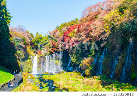 白絲瀑布（秋季）[富士宮市] 123320918