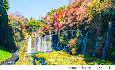 白絲瀑布（秋季）[富士宮市] 123320919