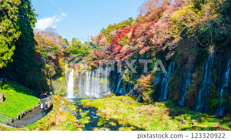 白絲瀑布（秋季）[富士宮市] 123320922