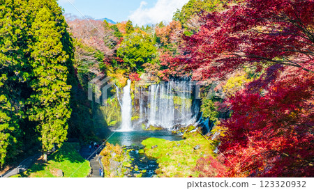 Shiraito Falls (Autumn) [Fujinomiya City] 123320932