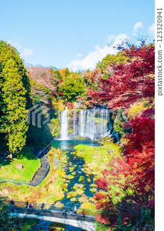 Shiraito Falls (Autumn) [Fujinomiya City] 123320941