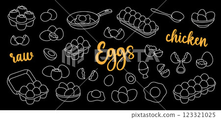 Chicken eggs outline set. Raw and boiled eggs, broken and whole eggshells, protein and yolk, omelette. Farming and agricultural. Vector illustration. 123321025