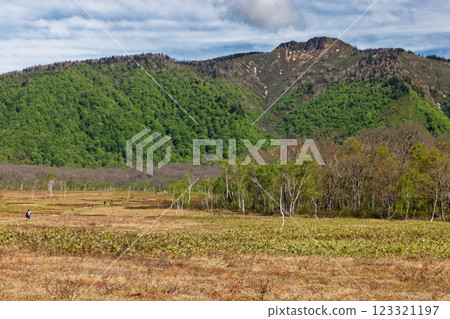 Fresh greenery seen from near Ryugujo in Ozegahara in early summer Fresh greenery seen from near Ryugujo in Ozegahara in early summer 123321197