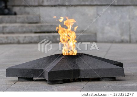 Eternal flame in memory of the fallen soldiers in the war.  123321277