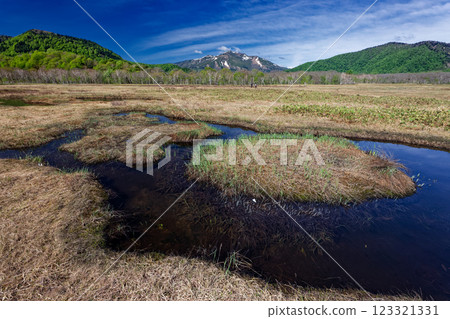 The ponds of Ozegahara in early summer and snow on Mt. Shibutsu The ponds of Ozegahara in early summer and snow on Mt. Shibutsu 123321331