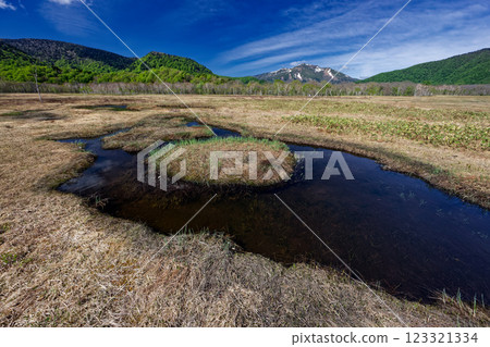 The ponds of Ozegahara in early summer and snow on Mt. Shibutsu The ponds of Ozegahara in early summer and snow on Mt. Shibutsu 123321334