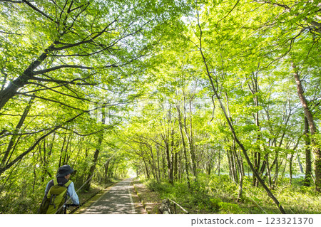 清新的綠意與初夏的騎乘形象（蒜山高原） 123321370