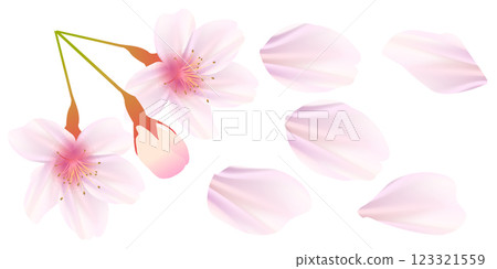 櫻花春天花瓣圖標 123321559