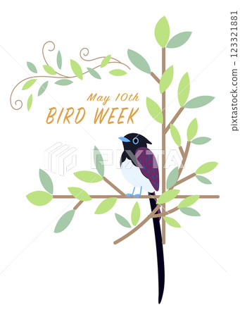 Bird Week, Paradise Flycatcher, Wreath, Wild Bird, Bird Bird Week, Paradise Flycatcher, Wreath, Wild Bird, Bird 123321881