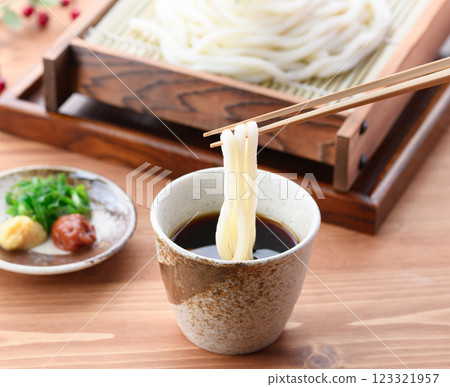 Zaru Udon (Cold Udon) 123321957