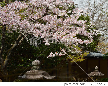 萬壽院、弁天堂 佐倉 萬壽院、弁天堂 佐倉 123322257