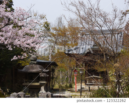 Manshuin Temple, Bentendo (Benzaiten) Sakura 123322262