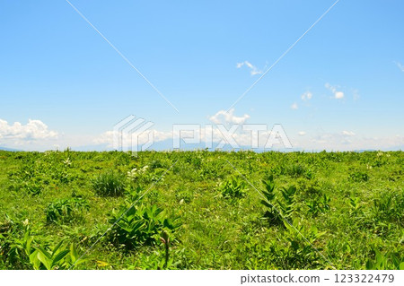 夏日的霧峰高原 4 123322479