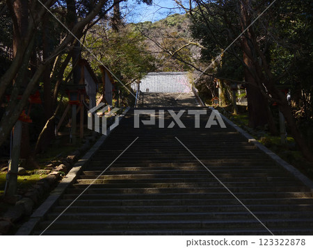 虛空藏法輪寺參道的石階與櫻花 123322878