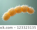 A special photo of bacteria in a microorganism: A microscopic observation of round-shaped bacteria in a neutral environment, an ideal selection for microbiology and Japanese medicine. 123323135