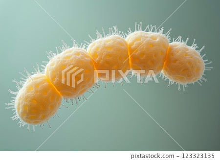 牙孢子：在中性環境下對環狀細菌進行顯微鏡觀察，是微生物學和醫學插圖的理想選擇。 123323135
