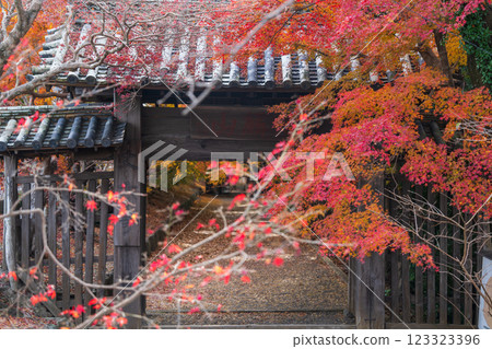 [Tokushima Prefecture] Autumn leaves at Jorokuji Temple 123323396