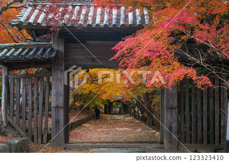 [Tokushima Prefecture] Autumn leaves at Jorokuji Temple 123323410
