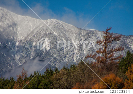 中央阿爾卑斯山白雪皚皚的伊納山和冬季枯死的落葉松樹 中央阿爾卑斯山白雪皚皚的伊納山和冬季枯死的落葉松樹 123323554