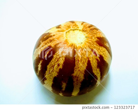 A picture of callosus melon isolated on a white background A picture of callosus melon isolated on a white background 123323717