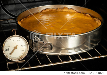 Fresh pumpkin pie baking in the oven. A delicious homemade dessert for Thanksgiving or any time of year. Warm, inviting, and comforting 123323826